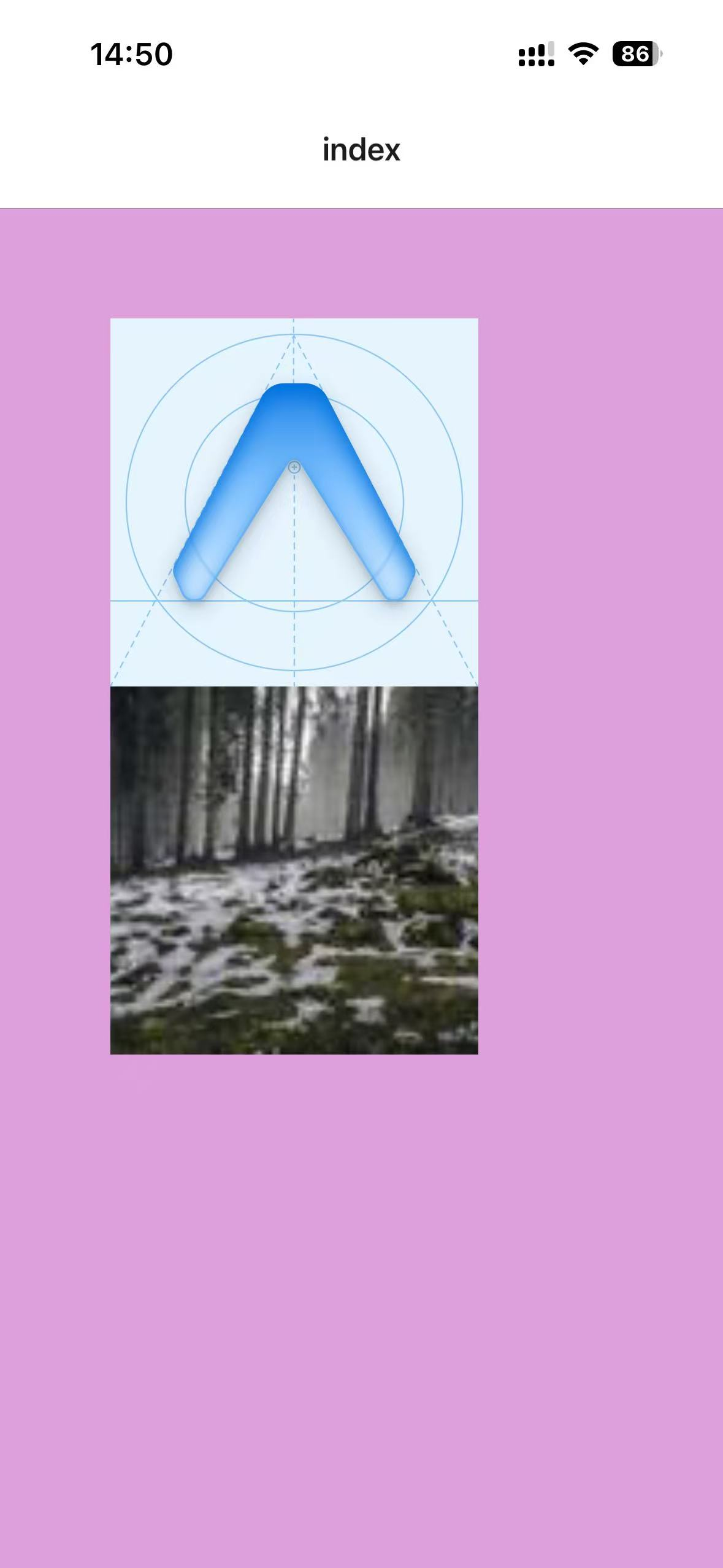 image-20251019145644466